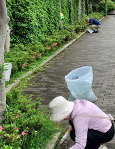 写真：バス通りの草取り風景