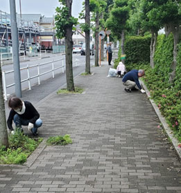 写真：バス通りの草取り風景