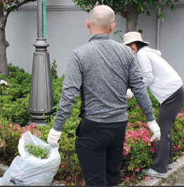 写真：敷地内の草取り風景