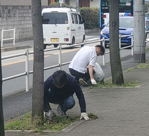 写真：バス通りの草取り風景