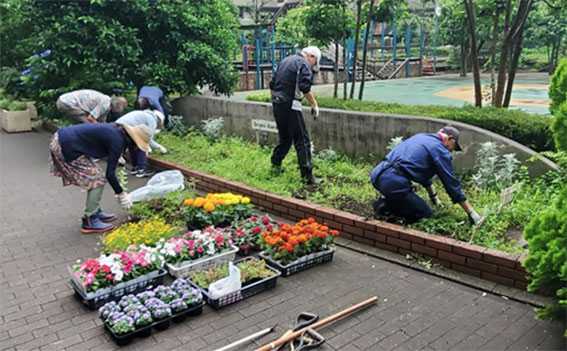 写真：植え替えのようす