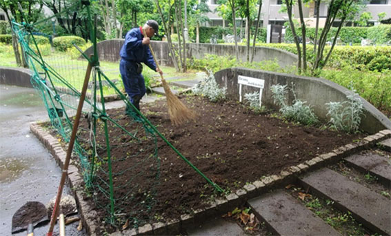 写真：植え替えのようす