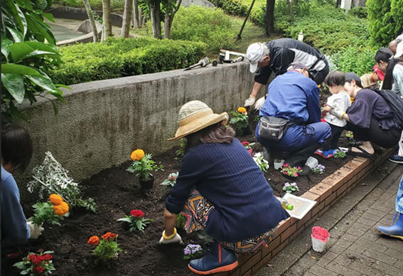 写真：植え替えのようす