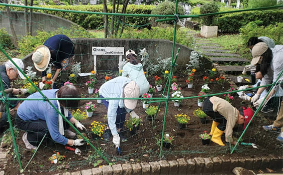 写真：植え替えのようす