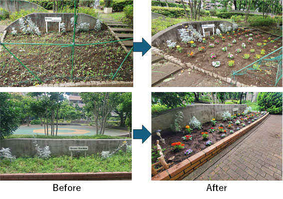 写真：植え替えの成果