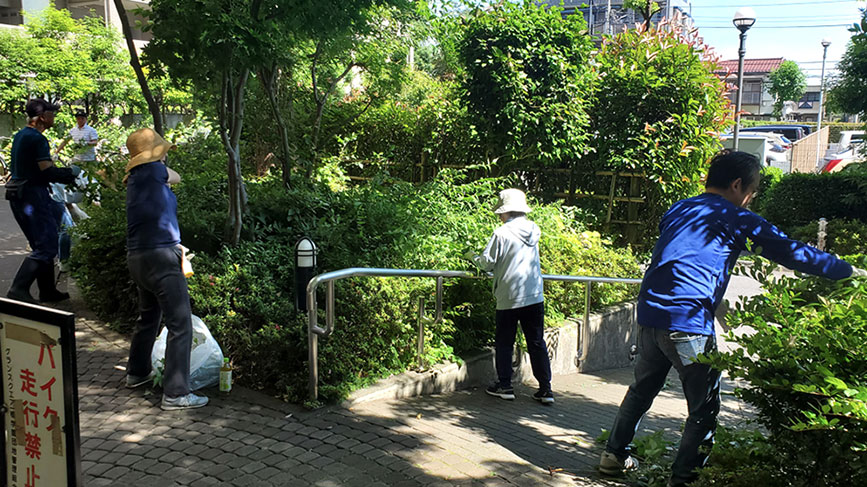 写真：草取りのようす