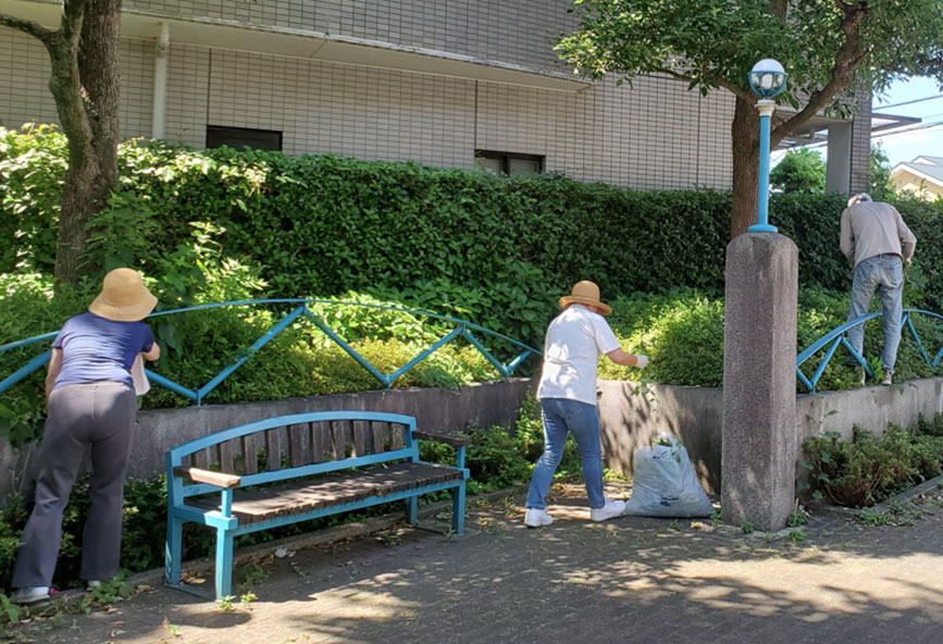 写真：草取りのようす