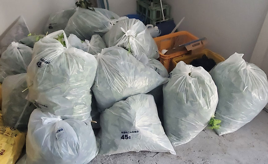 写真：草取りのようす