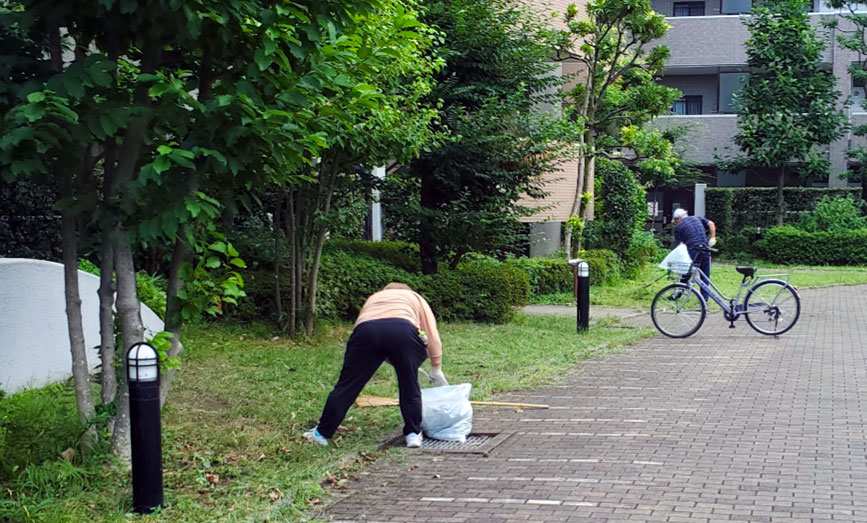 写真：草取りのようす