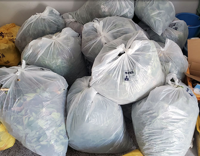 写真：草取りの成果