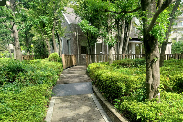 写真：草取り後