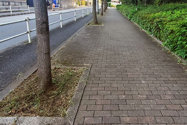 写真：草取り後