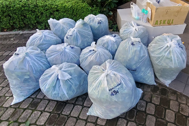 写真：草取りの成果