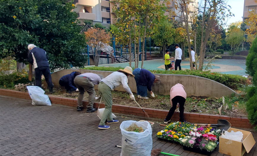 写真：植え替えのようす