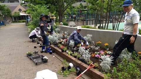 花壇の植え替え中