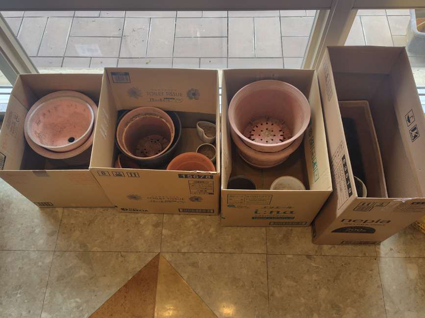 引き取りを募集しているプランターの写真